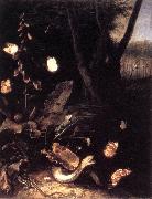 SCHRIECK, Otto Marseus van Still-life with Plants and Reptiles ery oil painting
